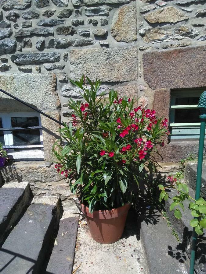 Le Refuge Des Alpes Mancelles Apartamento Fresnay-sur-Sarthe Exterior foto